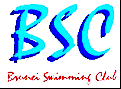 Brunei Swimming Club